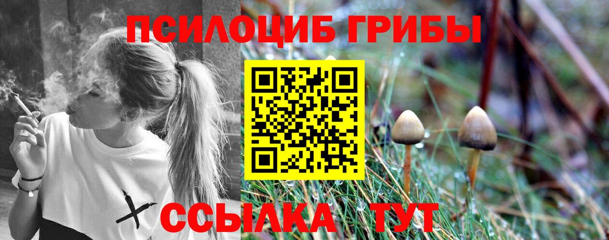Галлюциногенные грибы GOLDEN TEACHER  Вход с VPN  Ялта 